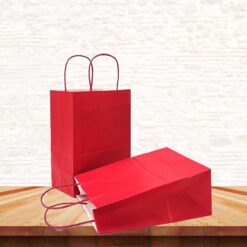Paper Carry Bag
